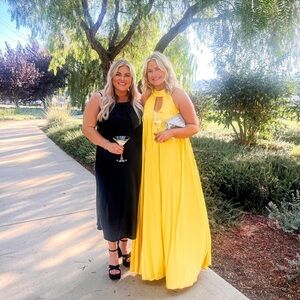 Hutch Halter Pleated Maxi Dress